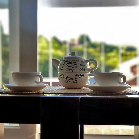 Sokolov Daire Semendire