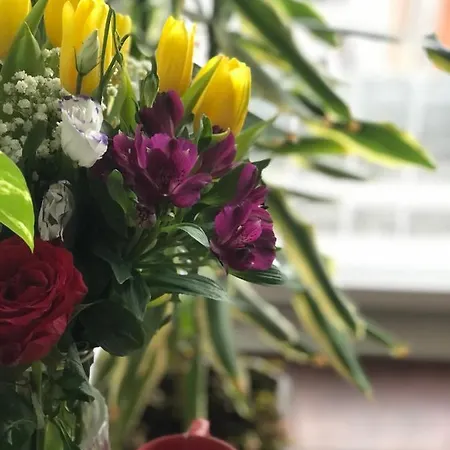 Apartment Sokolov Smederevo