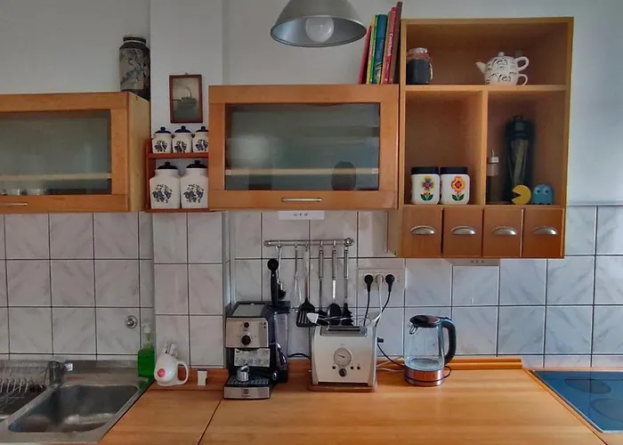 アパート Sokolov