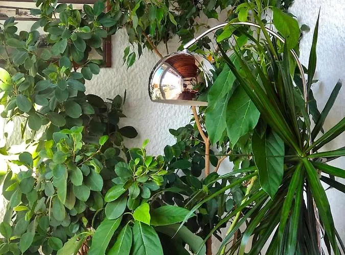 Sokolov アパート